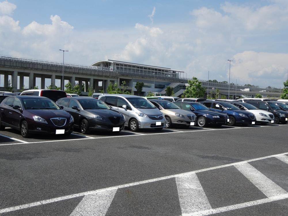 DSC00871 - コピー500.jpg